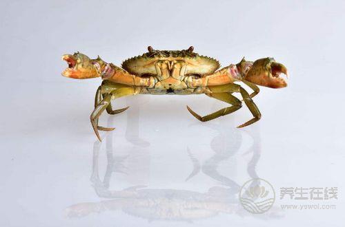 給你1份詳細的“海鮮年歷”，讓你吃到最時令的海鮮