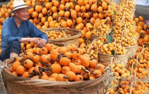 4月晚春多吃6種蔬果養(yǎng)生 不吃就過季了 4月晚春多吃6種蔬果養(yǎng)生 不吃就過季了