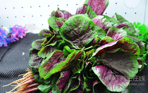 秋冬不生病，立秋多吃4種祛濕蔬菜