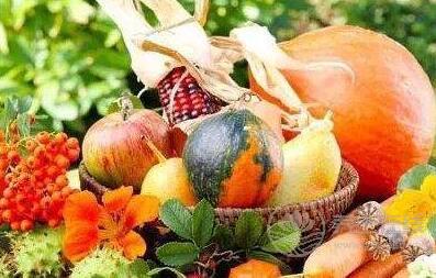 秋季該怎么吃更養(yǎng)生,這些小妙招必須要知道 秋季該怎么吃更養(yǎng)生,這些小妙招必須要知道