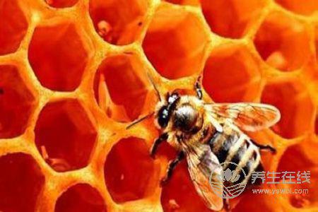 秋天適合吃什么水果? 秋天適合吃什么水果?