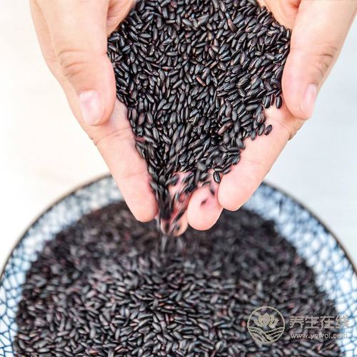 冬季宜養腎,常吃4種食物讓腎臟恢復活力 冬季宜養腎,常吃4種食物讓腎臟恢復活力