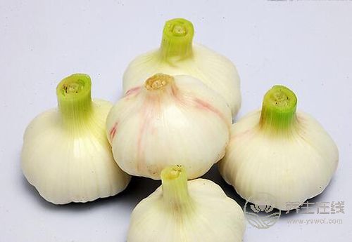 春季養(yǎng)護(hù)血管，這4種蔬菜你該多吃