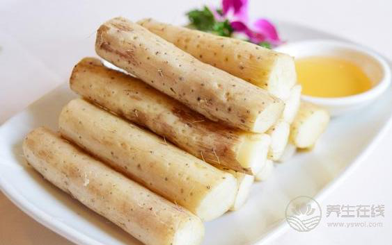 秋冬養陰，最適合冬日進補的食藥材