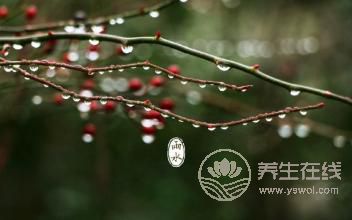 2019年雨水巧遇元宵節(jié),二十四節(jié)氣之雨水養(yǎng)生篇 2019年雨水巧遇元宵節(jié),二十四節(jié)氣之雨水養(yǎng)生篇