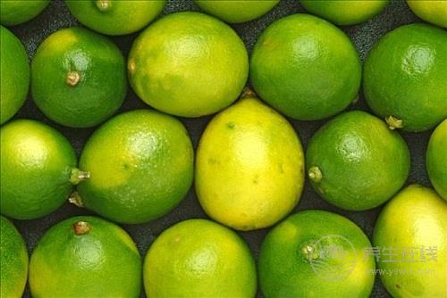 夏天喝金桔檸檬水好處多，每個人都該知道