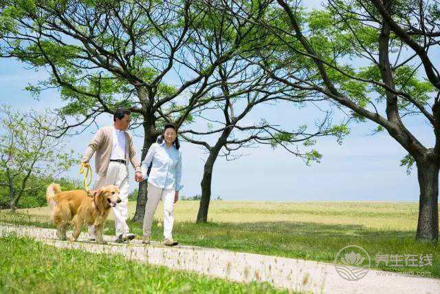 大暑養(yǎng)生“慢”運(yùn)動(dòng)可健身