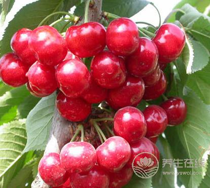 五月份是時令水果，夏天吃什么水果最好