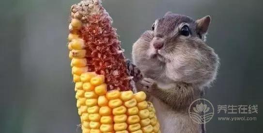 立秋啦!吃啥喝啥做啥才能整個秋冬不生病? 立秋啦!吃啥喝啥做啥才能整個秋冬不生病?