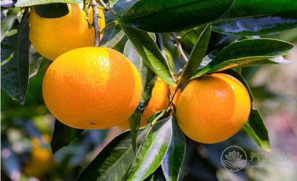 秋燥喉嚨痛怎么辦？吃五種水果可快速止痛化痰