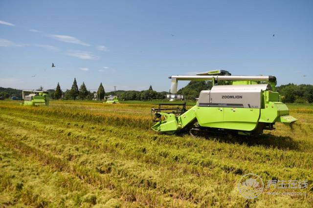 大暑簡介  大暑是什么時候？