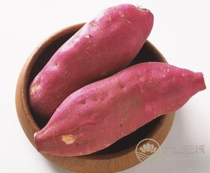 夏天喝什么粥有助于保胃養胃 夏天喝什么粥有助于保胃養胃