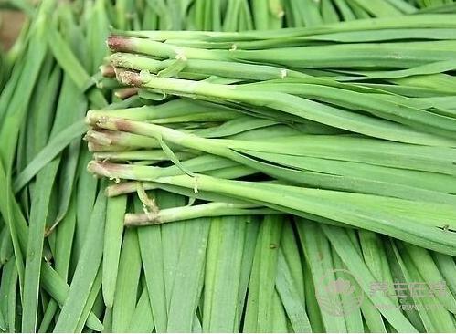 夏季什么食物有助身體殺菌