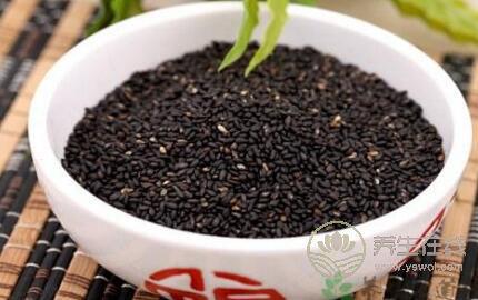 哪些食物適合小雪節氣食用呢 哪些食物適合小雪節氣食用呢