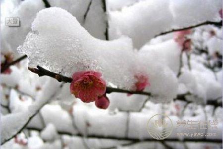 大雪節(jié)氣天氣有哪些特點?