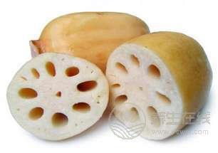 夏季<a href=http://www.xllyou.com/jkys/ target=_blank class=infotextkey>養生</a>食物,蓮藕的養生功效 <a href=http://www.xllyou.com/tags-夏季養生.html target=_blank class=infotextkey>夏季養生</a>食物,蓮藕的養生功效