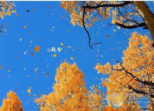 2017秋分節氣養生 節氣養生之秋分注意什么 2017秋分節氣養生 節氣養生之秋分注意什么