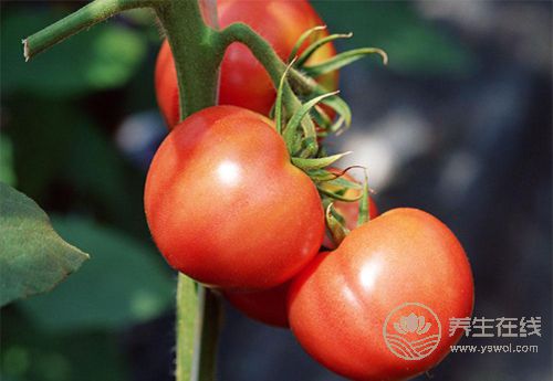 秋季肝火旺,多吃這幾種食物養(yǎng)肝又?jǐn)』? alt=