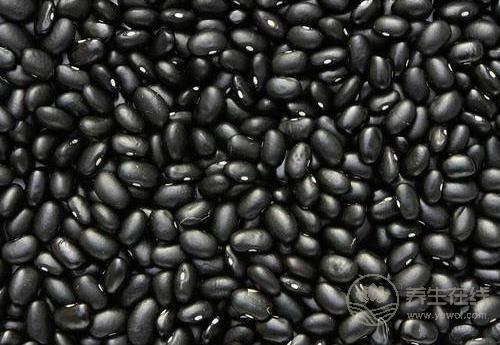 這幾種食物很養(yǎng)生，秋季，女人可常吃