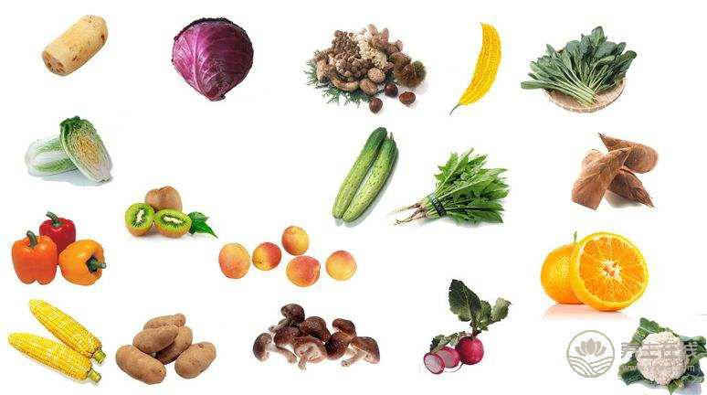 小暑膳食養生 先辨證體質 小暑膳食養生 先辨證體質