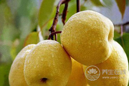 秋季降火降噪吃什么好?