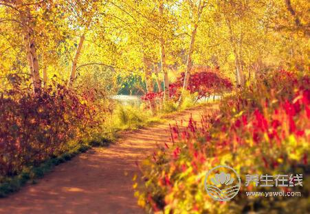 秋季出行的注意事項您了解多少