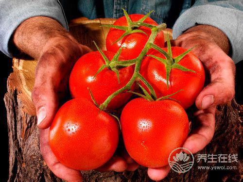 男人夏季想要補(bǔ)陽(yáng)氣?5種食物一定得吃 男人夏季想要補(bǔ)陽(yáng)氣?5種食物一定得吃