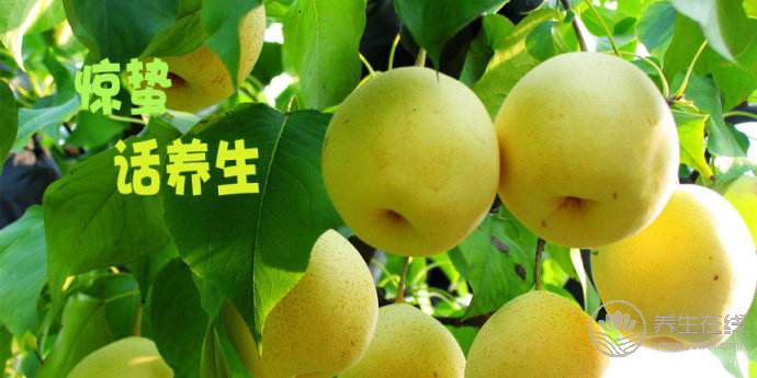 驚蟄 | 春雷響,萬物長!<a href=http://www.xllyou.com/jkys/ target=_blank class=infotextkey>養生</a>飲食要注意! 驚蟄 | 春雷響,萬物長!養生飲食要注意!