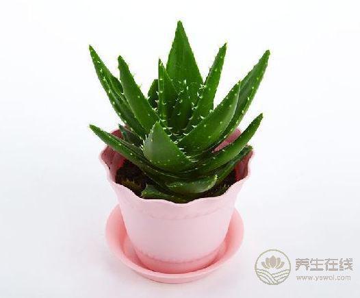 2017年二十四節氣—處暑  處暑是什么？