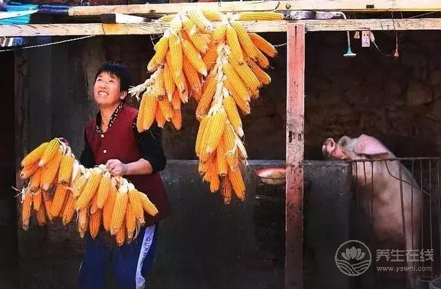 立秋啦!吃啥喝啥做啥才能整個秋冬不生病? 立秋啦!吃啥喝啥做啥才能整個秋冬不生病?