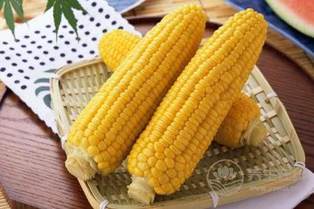 當秋養生吃玉米