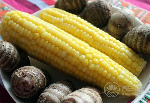 秋季養生怎么做才能更健康