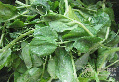 春天多吃這4種蔬菜,好吃更健康 春天多吃這4種蔬菜,好吃更健康