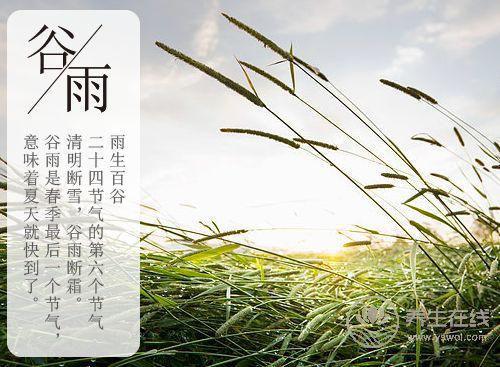 谷雨時節，谷雨如何養生