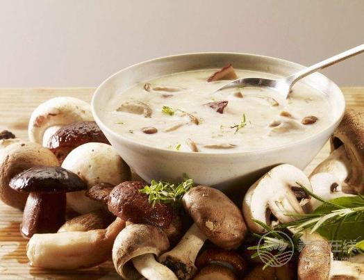 秋冬來臨，恢復免疫力就靠它們了！