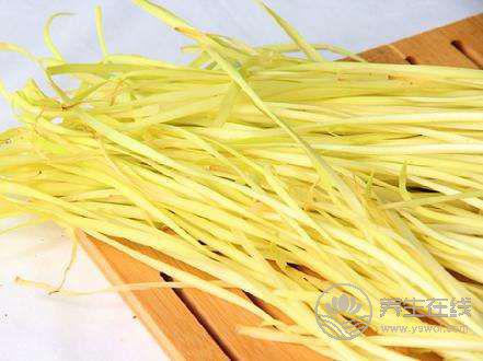 立春后溫中升陽，食用韭黃好時節