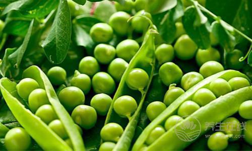 夏季養(yǎng)生,你不能錯過這6種“養(yǎng)生豆”! 夏季養(yǎng)生,你不能錯過這6種“養(yǎng)生豆”!