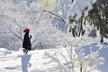 怎樣預防冬季流感?