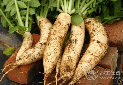 最適合秋季吃的時令蔬菜，必收