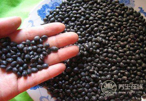 冬天養(yǎng)生，這些食物不能錯過