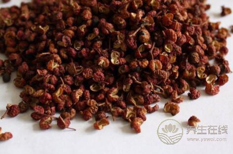 六種食物，夏天同樣合適吃