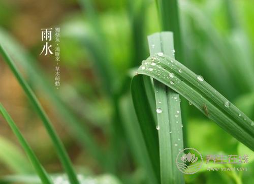 2019年雨水巧遇元宵節(jié),二十四節(jié)氣之雨水養(yǎng)生篇 2019年雨水巧遇元宵節(jié),二十四節(jié)氣之雨水養(yǎng)生篇