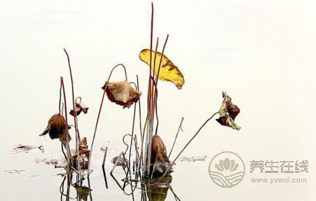 立冬有什么習俗?立冬傳統的七大習俗 立冬有什么習俗?立冬傳統的七大習俗