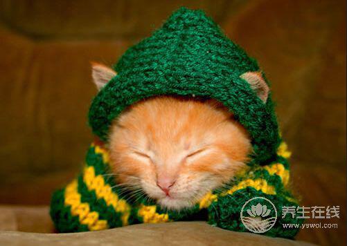 初秋養生要注意給4個部位保暖