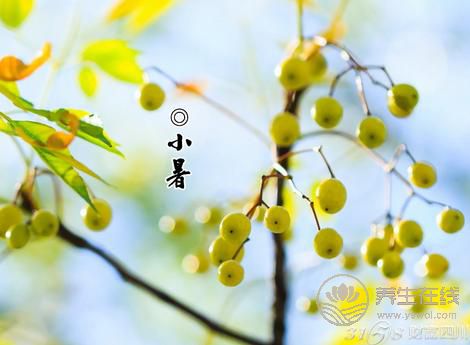 2019年什么時候小暑 小暑時間幾點幾分 2019年什么時候小暑 小暑時間幾點幾分