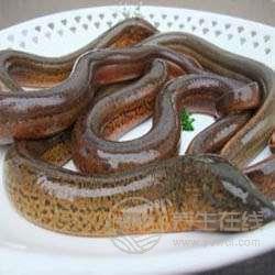 節氣養生 | 小暑養生飲食有三寶 黃鱔蓮藕綠豆芽