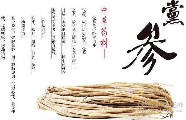 秋冬養陰，最適合冬日進補的食藥材