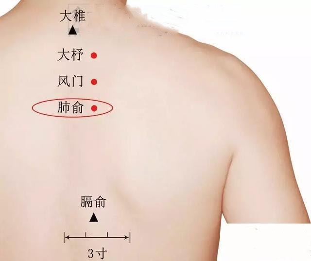 夏天是“養肺黃金期”，做到這4招，一年不得肺病！