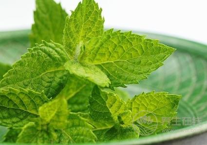 夏季辦公室族易患風熱感冒? 3款薄荷飲品可治愈 夏季辦公室族易患風熱感冒? 3款薄荷飲品可治愈