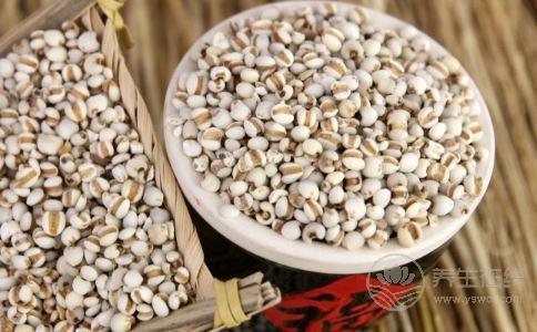 夏季濕氣重怎么辦?不妨多吃這5種食物 夏季濕氣重怎么辦?不妨多吃這5種食物